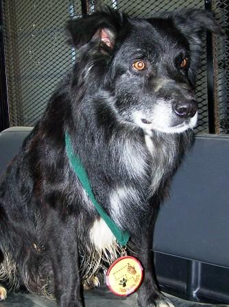 Photo of Certik with his medal